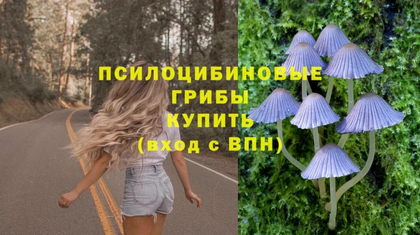 шишки Богородицк