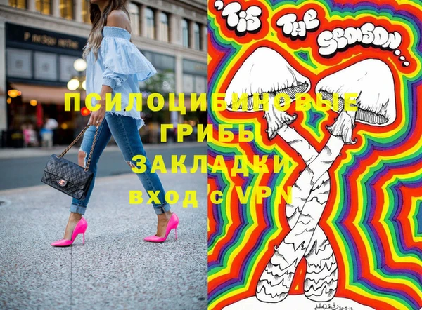 шишки Богородицк